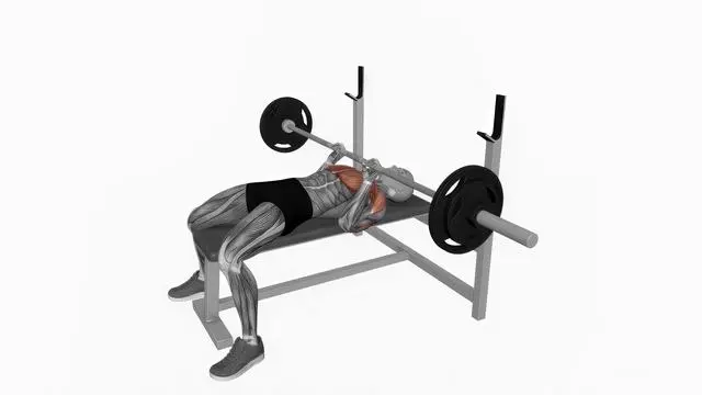Barbell Bench Press (10)