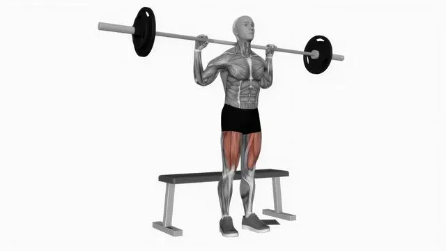 Barbell Bench Squat (2)