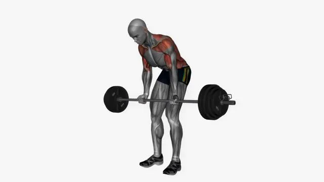 Barbell Bent Over Row (4)