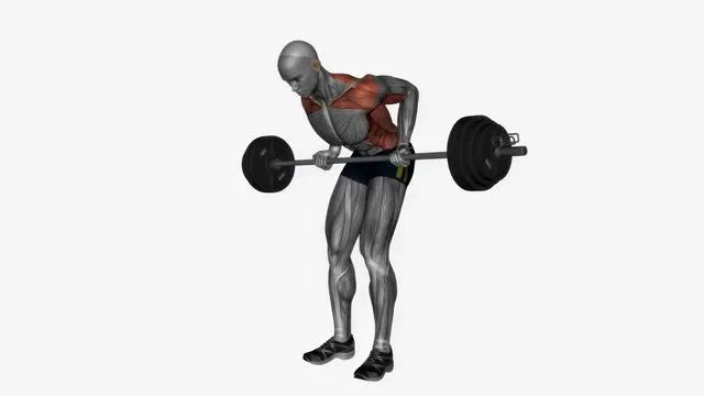 Barbell Bent Over Row (5)