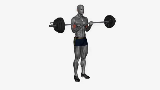 Barbell bicep curl close grip (2)