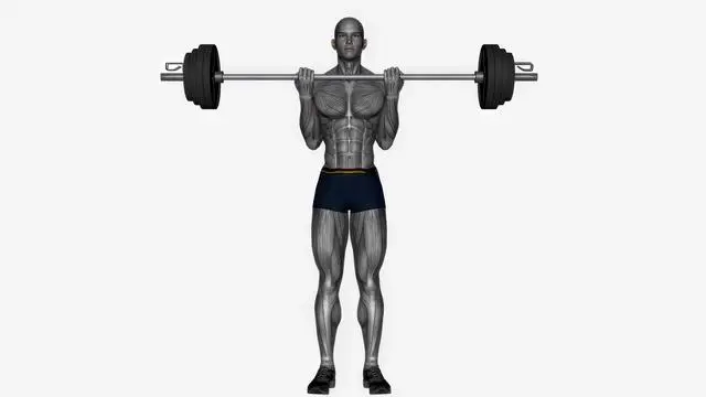Barbell bicep curl normal grip (2)