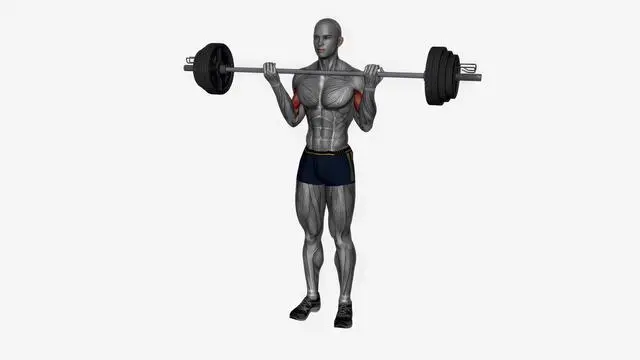 Barbell bicep curl wide grip (2)