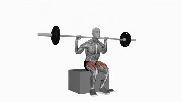 Barbell box squat (2)