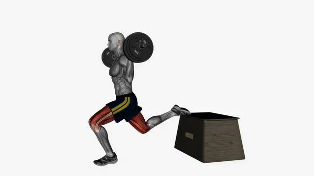 Barbell bulgarian split squat (3)
