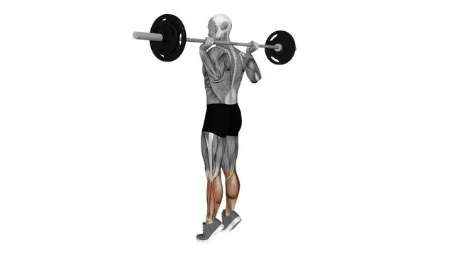 Barbell Calf Jump (2)