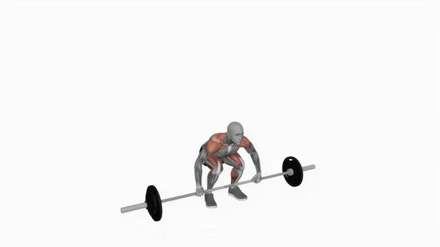 Barbell Clean and Jerk (2)