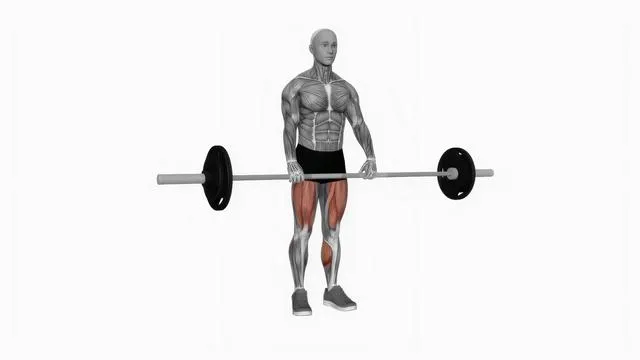 Barbell clean deadlift (2)