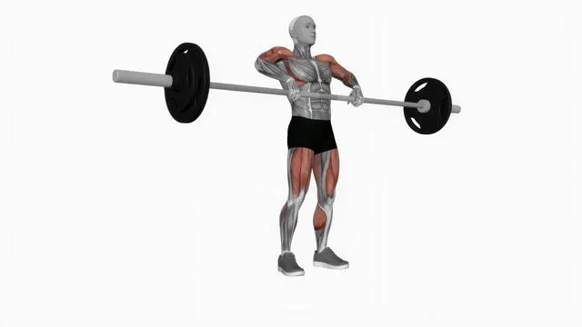 Barbell clean pull (2)
