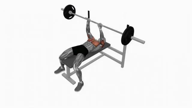 Barbell close grip bench press (2)