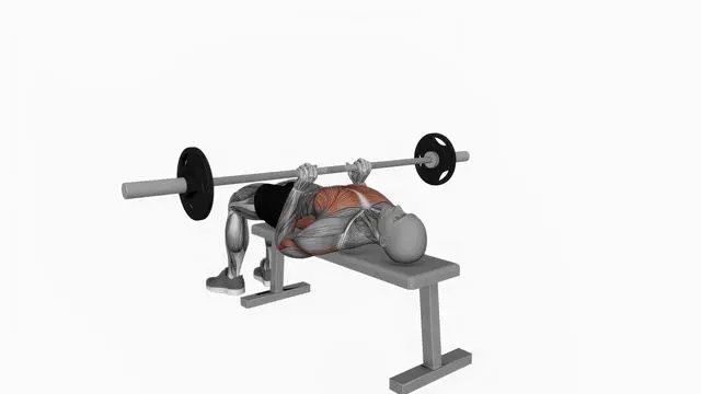 Barbell close grip press (2)