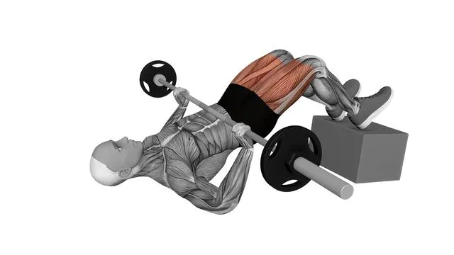 Barbell Feet Elevated Glute Bridge (2)