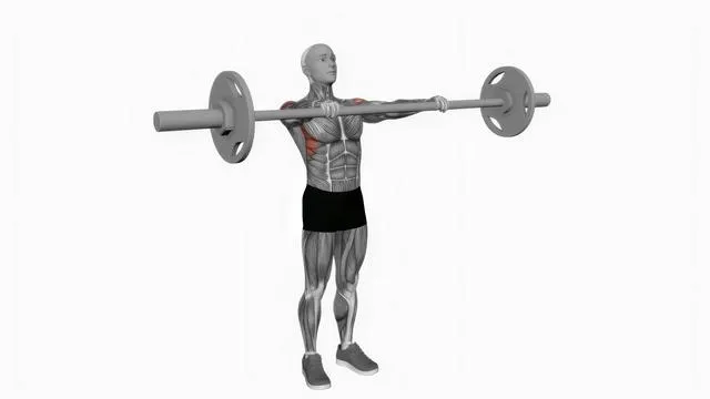 Barbell front raise (2)