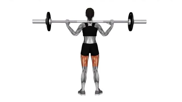 Barbell full squat (3)