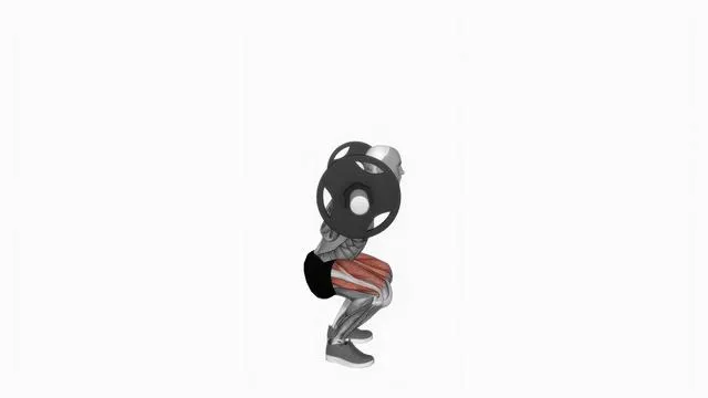 Barbell full squat (6)