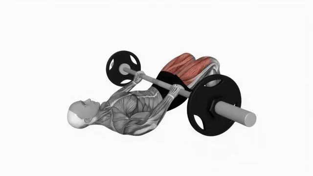 Barbell glute bridge (2)