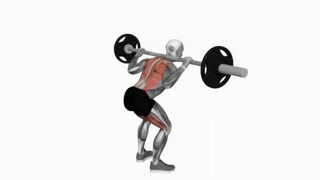 Barbell good morning (2)