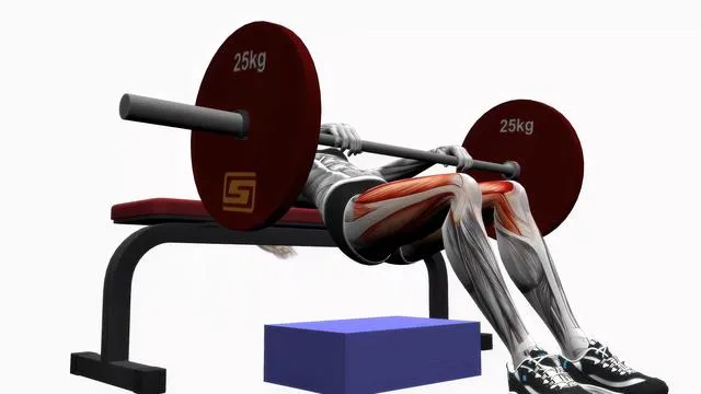 Barbell hip thrust (2)
