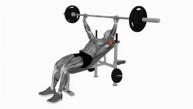 Barbell incline bench press (2)
