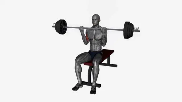 Barbell lap curl (2)