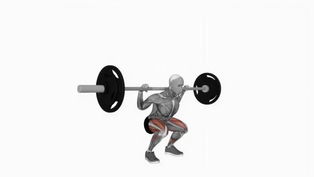 Barbell low bar squat (2)