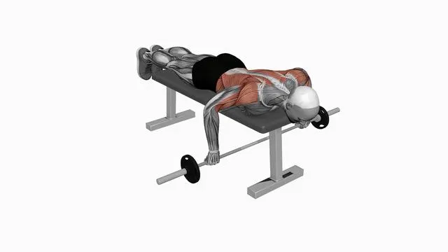 Barbell lying row (2)
