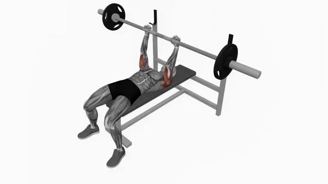 Barbell lying triceps extension (2)