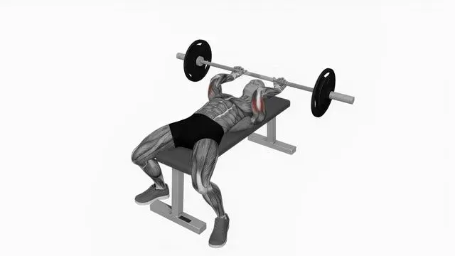 barbell lying triceps skull crusher (2)