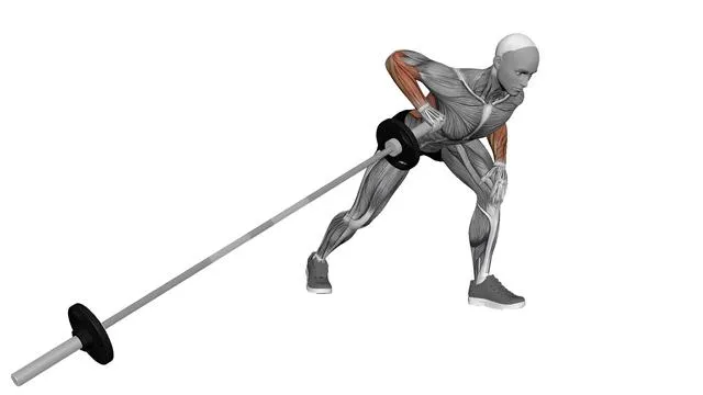 Barbell Meadows Row (2)