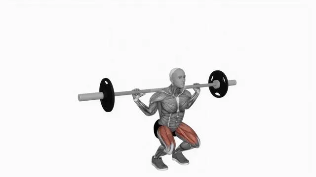 Barbell narrow stance squat (2)