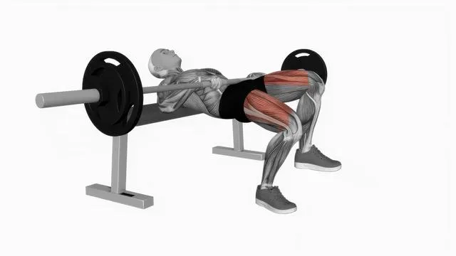 Barbell one leg hip thrust (2)