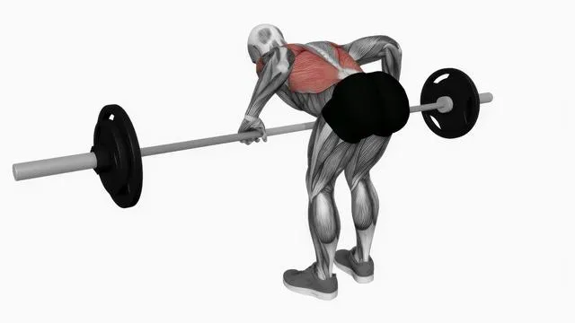Barbell pendlay row (2)