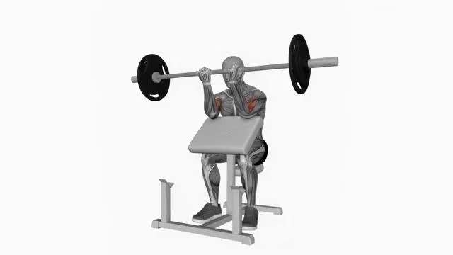 Barbell preacher curl (2)