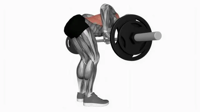 Barbell push bent over row (2)
