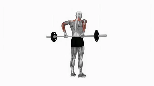 Barbell rear delt raise (2)