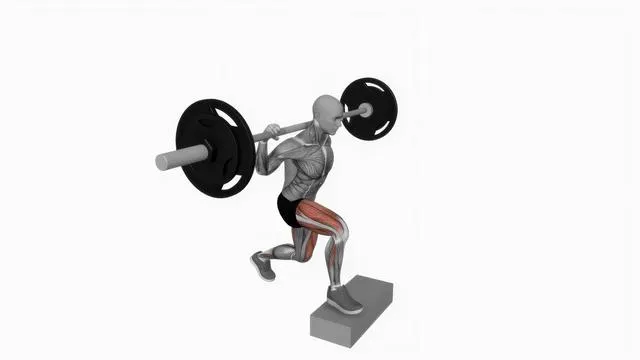 Barbell rear lunge on box (2)