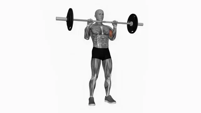 Barbell reverse biceps curl (2)