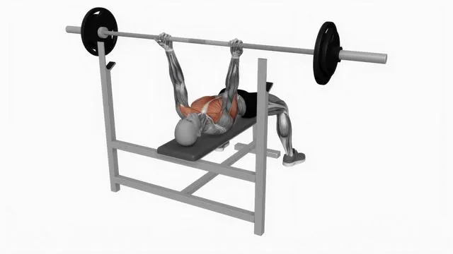 Barbell reverse grip bench press (2)