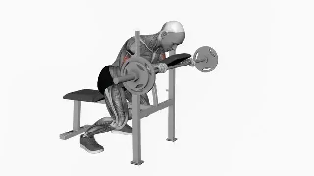 Barbell reverse spider curl (2)