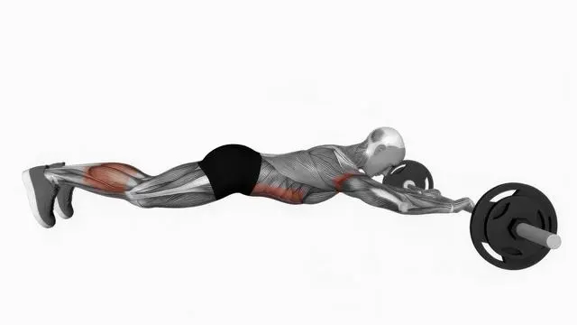 Barbell rollout (2)