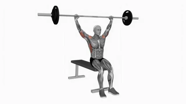 Barbell seated behind neck military press (2)