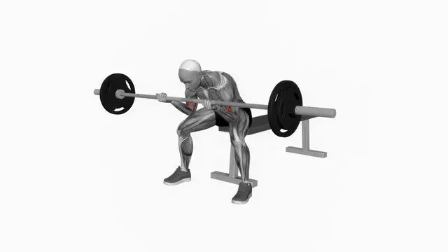 Barbell seated concentration biceps curl (2)