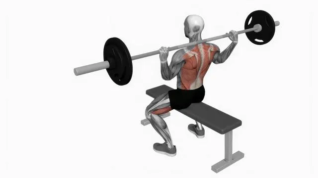 Barbell seated good morning (2)