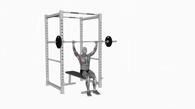 Barbell seated military press (2)