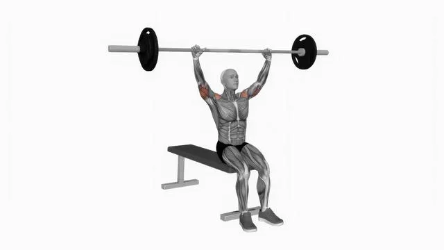 Barbell seated overhead press (2)