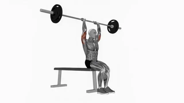 Barbell seated overhead triceps press (2)