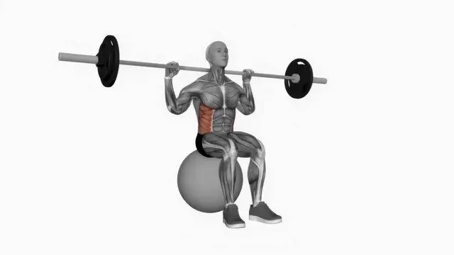 Barbell seated twist (3)