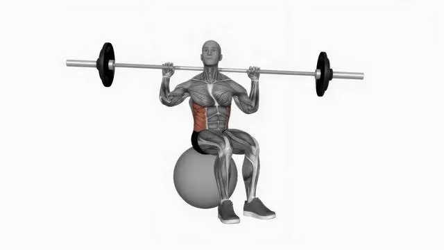 Barbell seated twist on exercise ball (2)