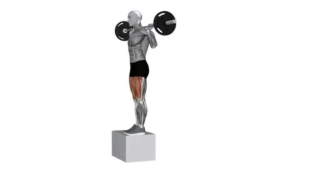 Barbell Side Step Up (2)