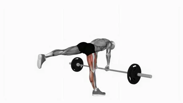 Barbell single leg deadlift (2)